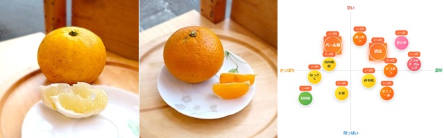 パール柑、清見みかん、食味マップ