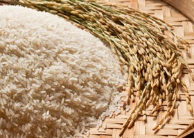 やさしいお米・雑穀